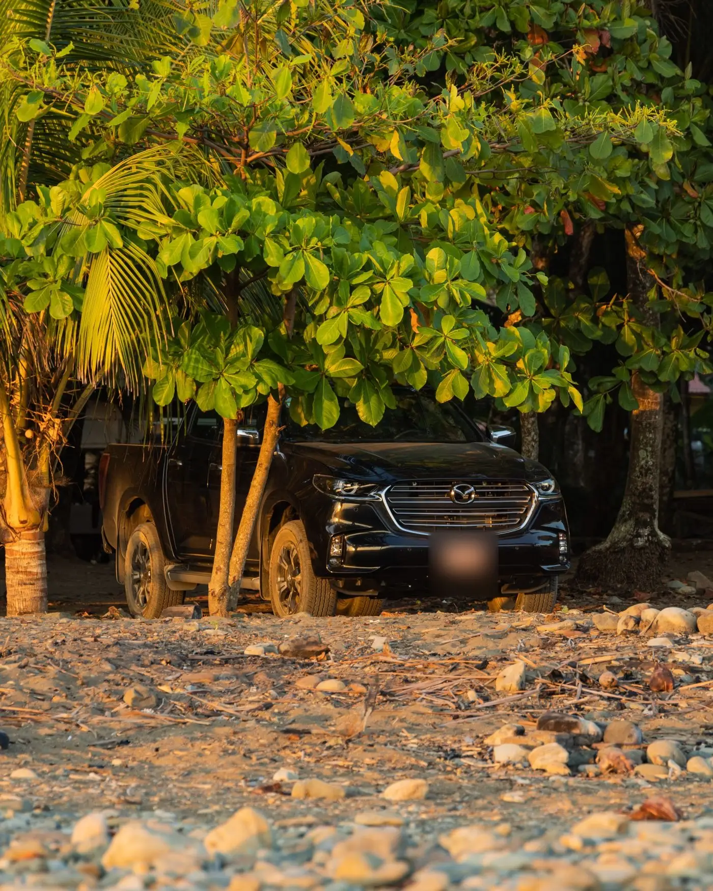 Mazda CX-5 đỗ dưới tán cây